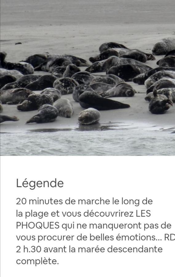 Mini Tarif Pour Un Maxi Confort Berck Exteriér fotografie